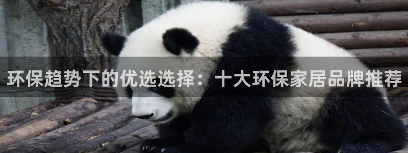 意昂5(KGAME)注册登录官网：环保趋势下的优选选择：十大