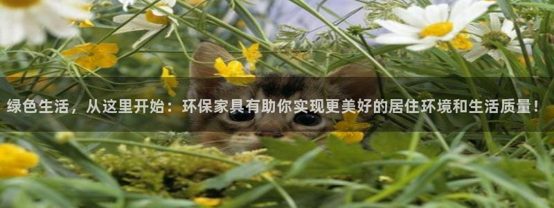 意昂5(KGAME)平台得专用通道：绿色生活，从这里开始：环