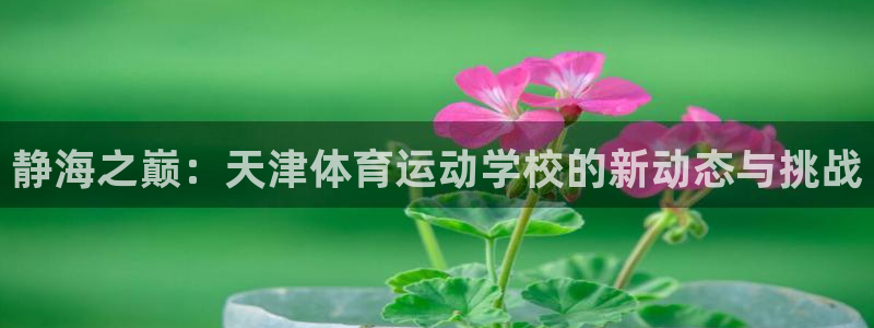 k1体育十年品牌值得信赖网址