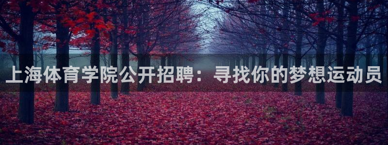 k1体育入口