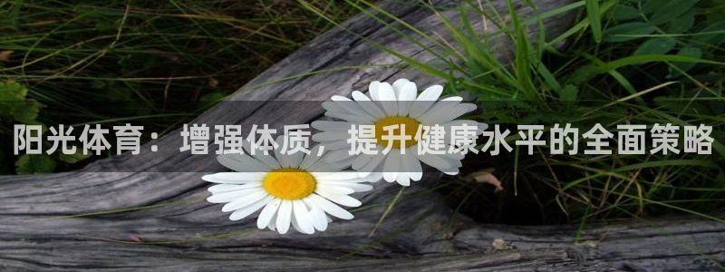 k1体育平台最新网站下载