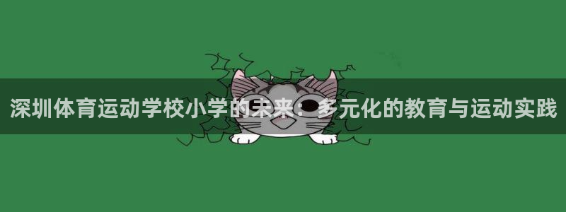 k1体育网站登录官网