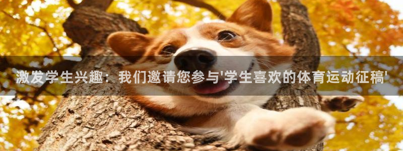 k1体育链接